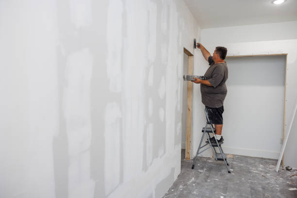 Best Mold Damage Restoration  in Sausalito, CA