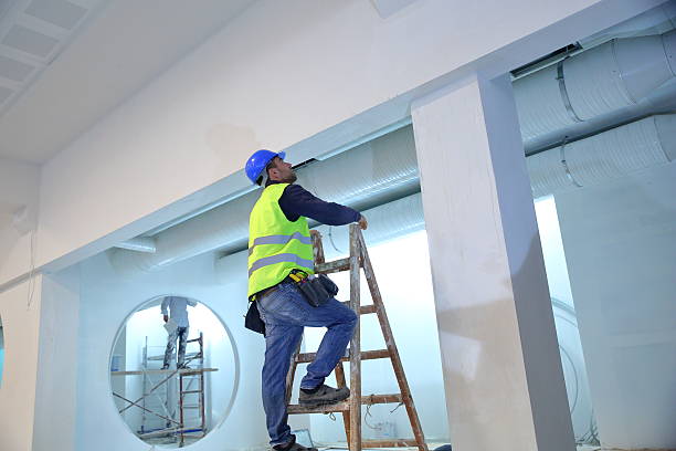 Trusted Sausalito, CA Mold Removal Experts